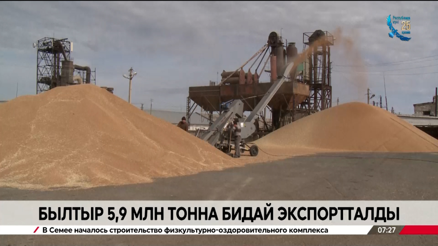 Былтыр 5,9 млн тонна бидай экспортталды