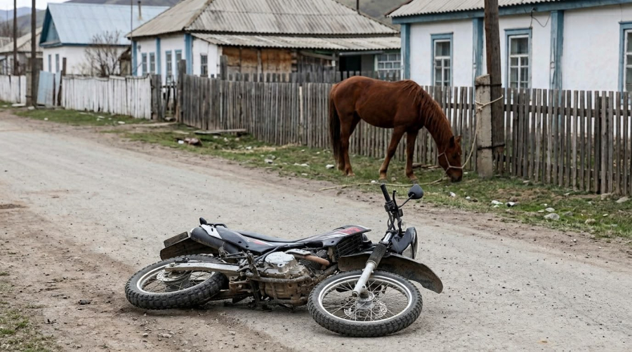 Шығыс Қазақстанда мотоцикл мінген 13 жастағы  қыз арқанға соғылып қаза тапты