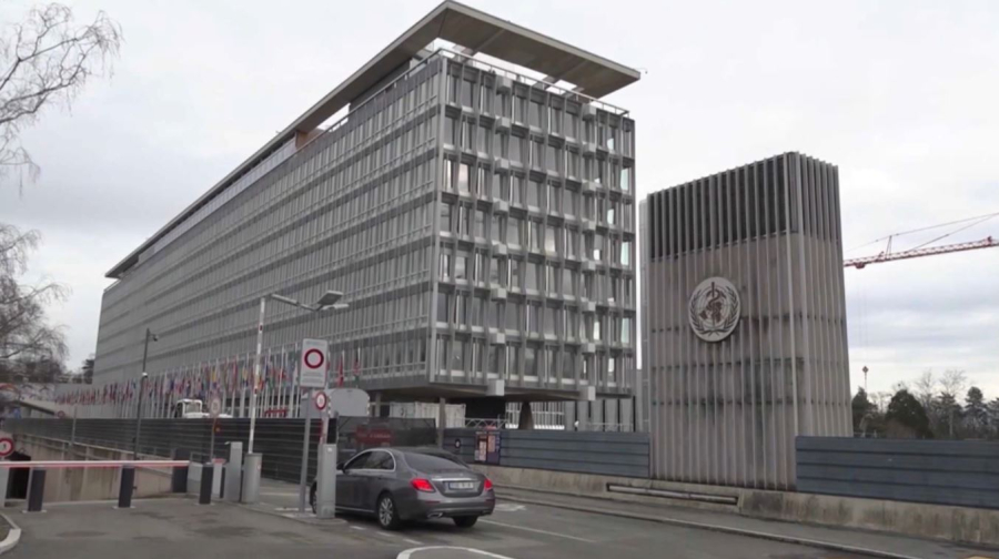 ДДСҰ: Дәрігерлердің қауіпсіздігі күшейтілуі тиіс