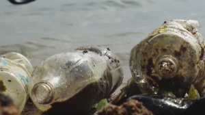 Экоактивисты очищают озеро Иссык-Куль от пластика