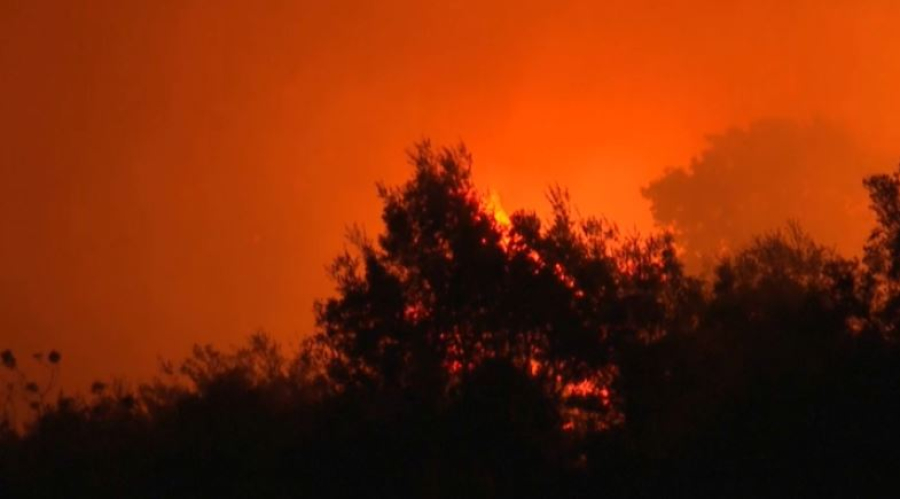 Лесной пожар подошёл к пригородам Подгорицы