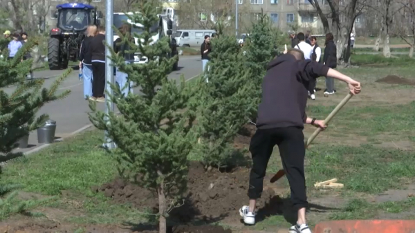 «Зелёная» акция: 1000 новых деревьев посадили в Караганде