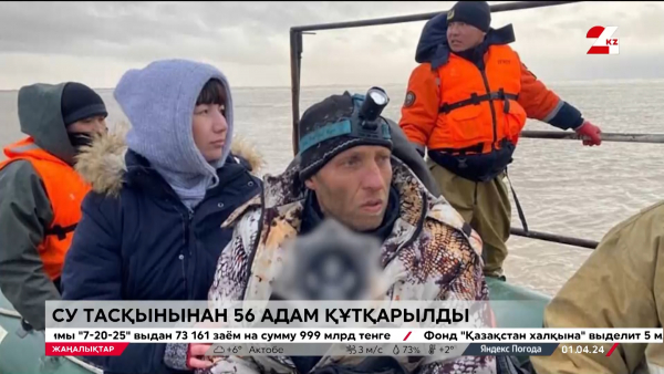 Су тасқыны. Асыл тұқымды 110 бұзау құтқарылды