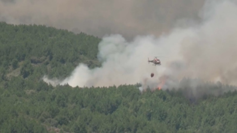 С начала года в странах ЕС выгорело 300 тысяч гектаров