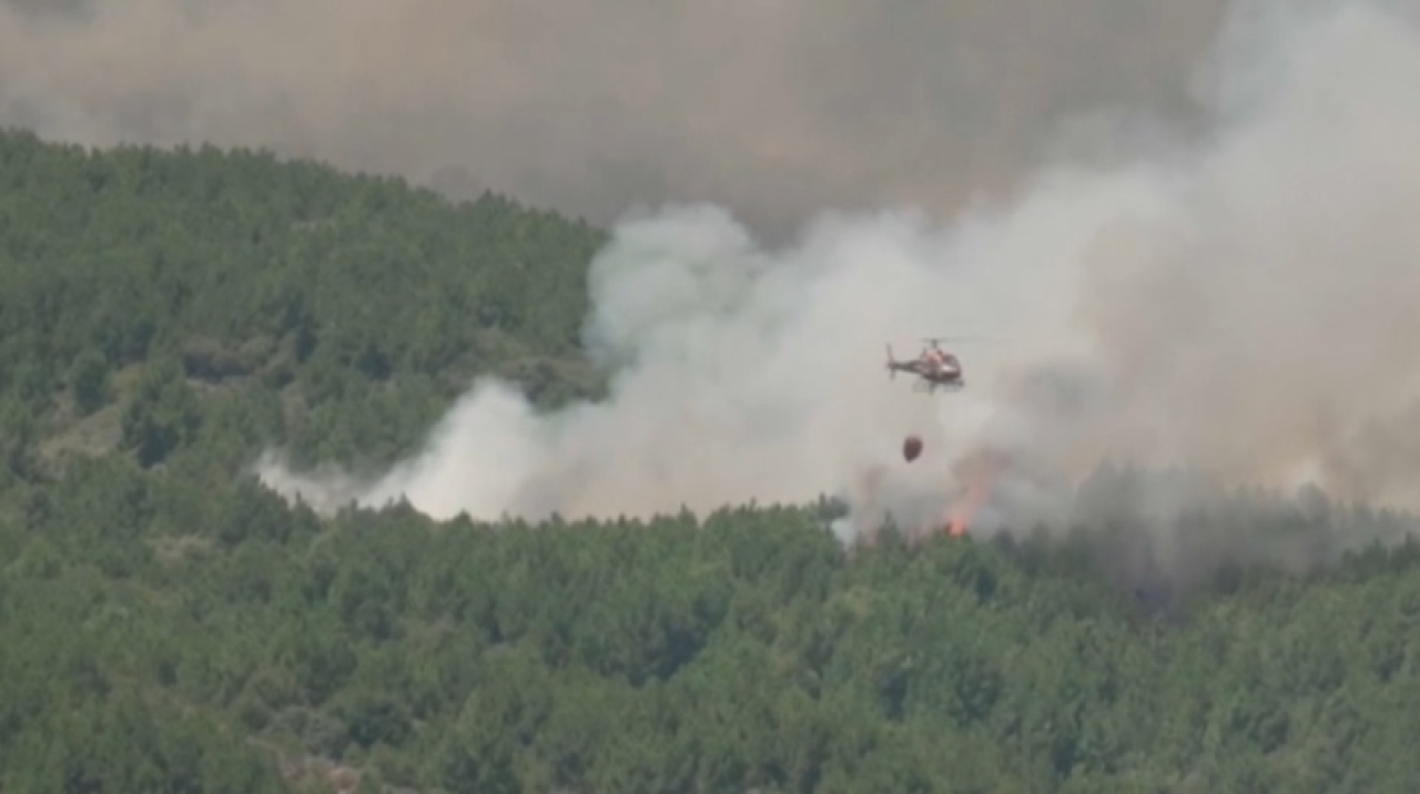 С начала года в странах ЕС выгорело 300 тысяч гектаров