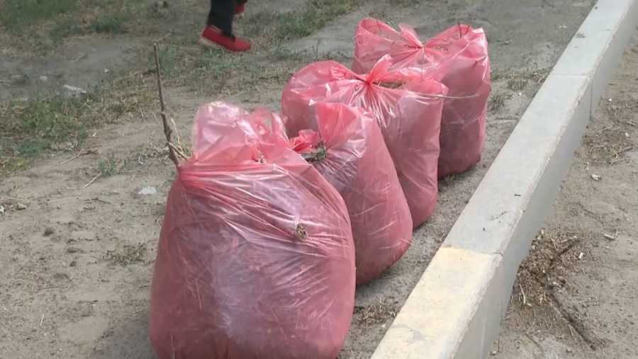 Петропавлда республикалық акция аясында кезекті экошара өтті