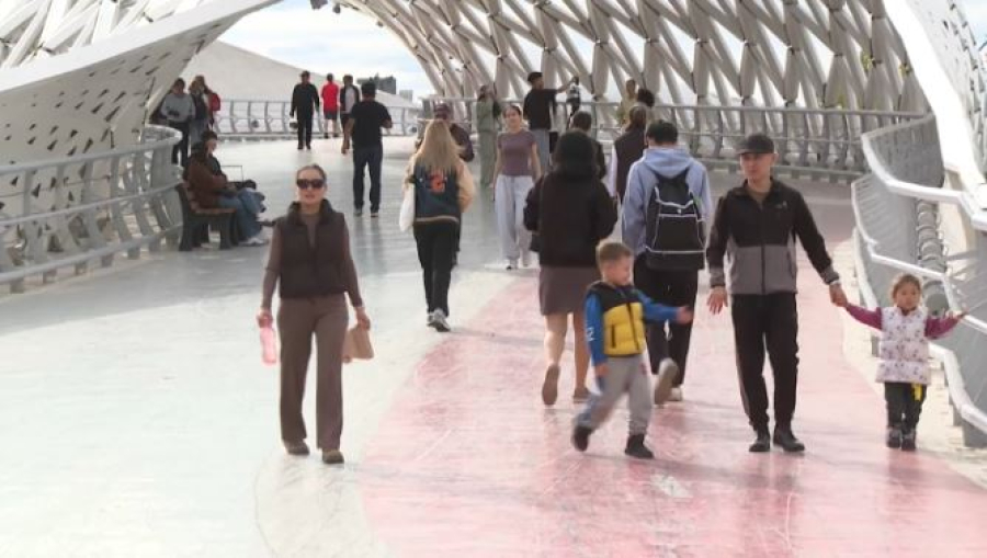 Единый учёт миграции введут в Казахстане