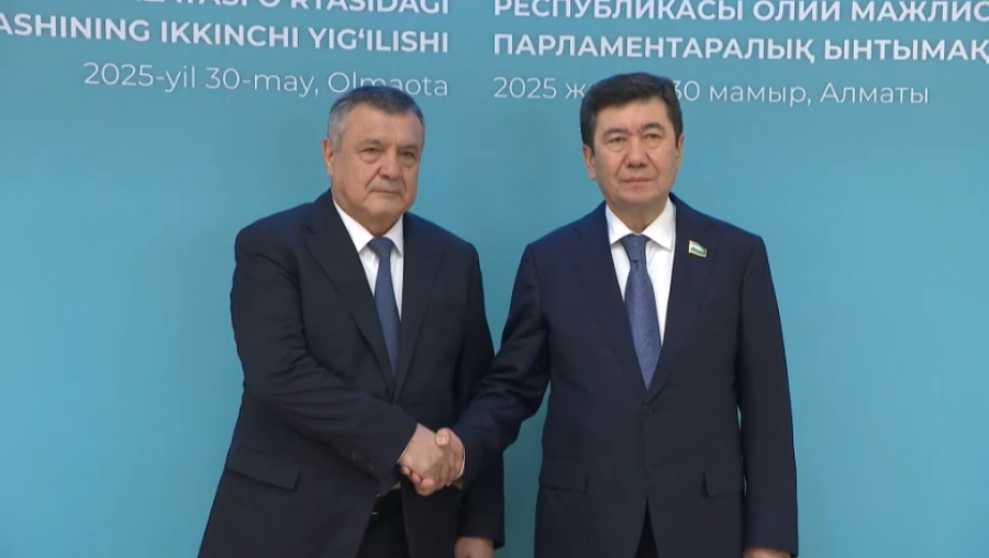 Расширение межпарламентского сотрудничества РК и РУ обсудили в Алматы