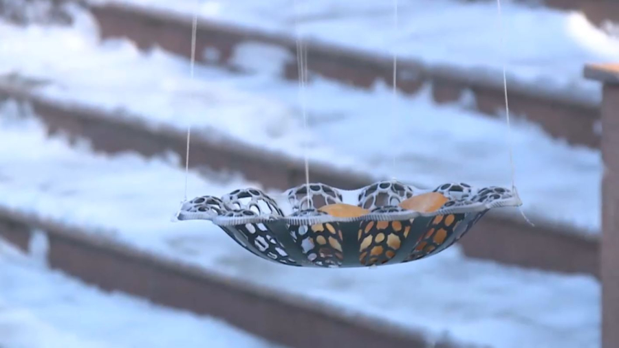 Қарағандыда дрондар бауырсақ таратты