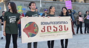 Марш «Веганов Земли» прошёл в Тбилиси