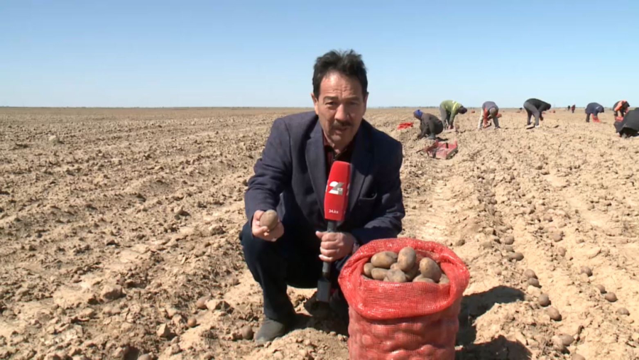 Атырау облысында  көктемгі дала жұмыстары басталды