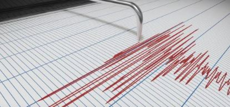 Землетрясение зафиксировано на территории Казахстана