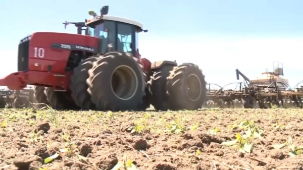 800 тысяч гектаров засеют зерном в Актюбинской области