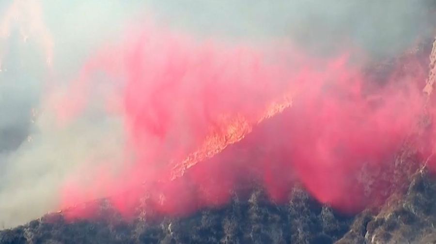 Калифорния охвачена лесным пожаром