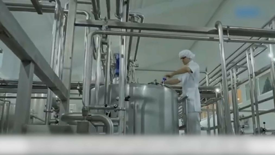 Шаруалар үйде отырып білім алады