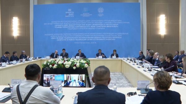 Парламенттік комиссия отырысы су мәселесін талқылады