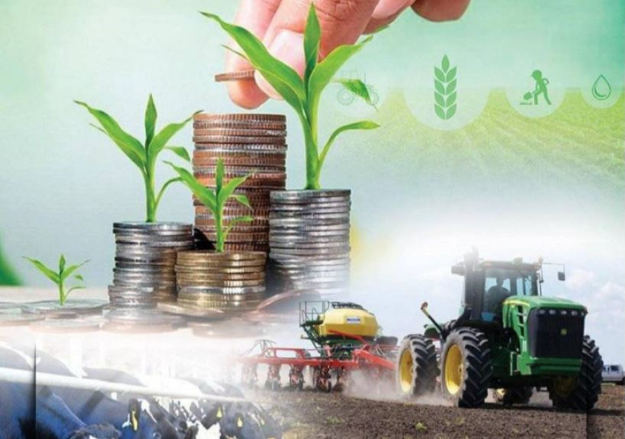 Ауыл шаруашылығының жалпы өнім көлемі 4% артты