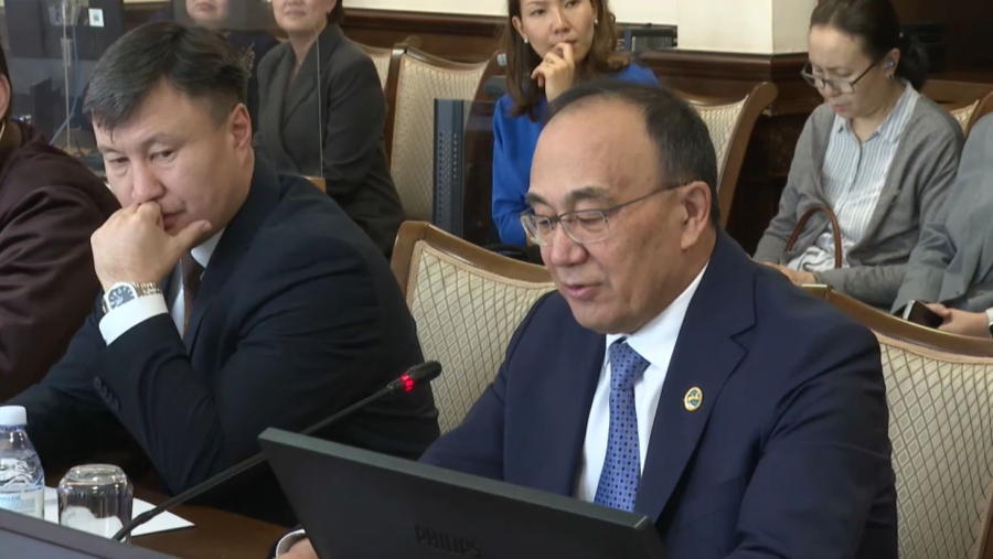 Ғалымдар жаңа Конституция жобасы жайлы ой бөлісті