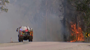 Лесные пожары усиливаются на юго-востоке Австралии