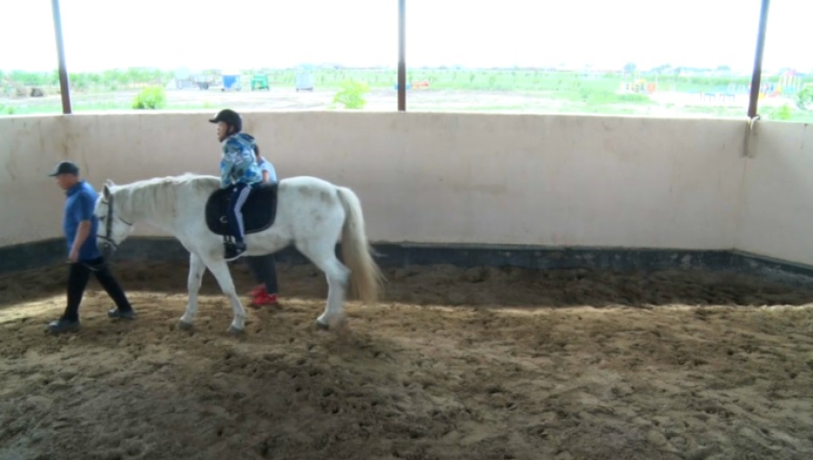 В Атырау ученые исследуют эффективность иппотерапии