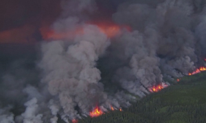 Лесные пожары становятся глобальной угрозой