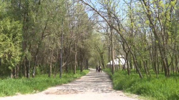 В дендрологическом парке Шымкента посадят 184 вида новых растений 