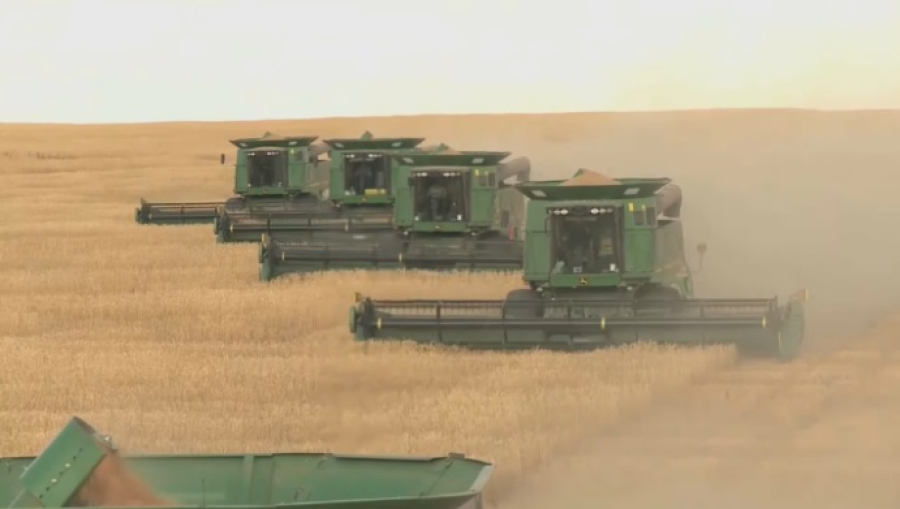 Рекорд по сбору зерна побили акмолинские аграрии