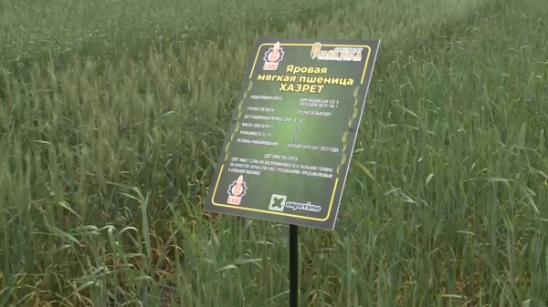 Қостанай облысында «Jańa Dala / Green Day' 2024» ауылшаруашылық көрмесі басталды