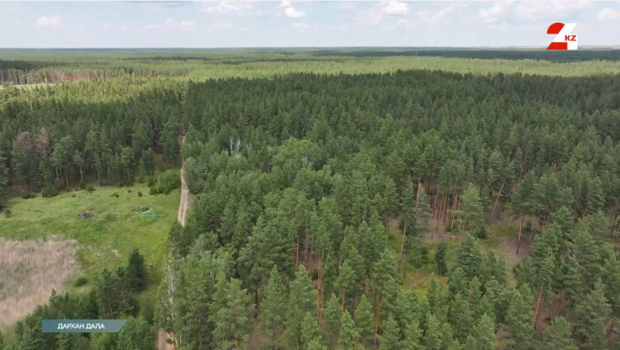 Қостанайдың қос бірегейі: Сосновый бор жаңа дем береді, Науырзым шабыт сыйлайды