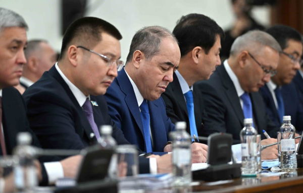 Мемлекет басшысы аграрлық салаға жасалатын қолдау туралы айтты