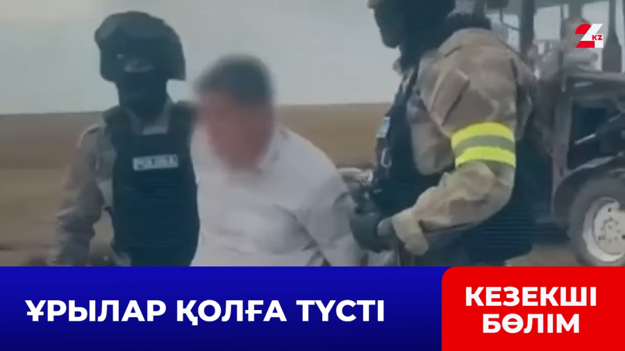 БҚО-да 49 бас ірі қара мал ұрланды