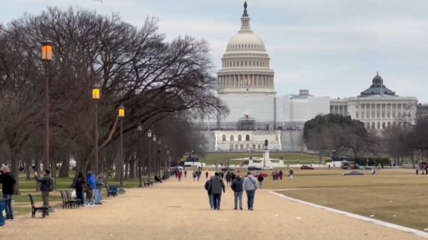 АҚШ-тағы жаңа салық жүйесі қандай?