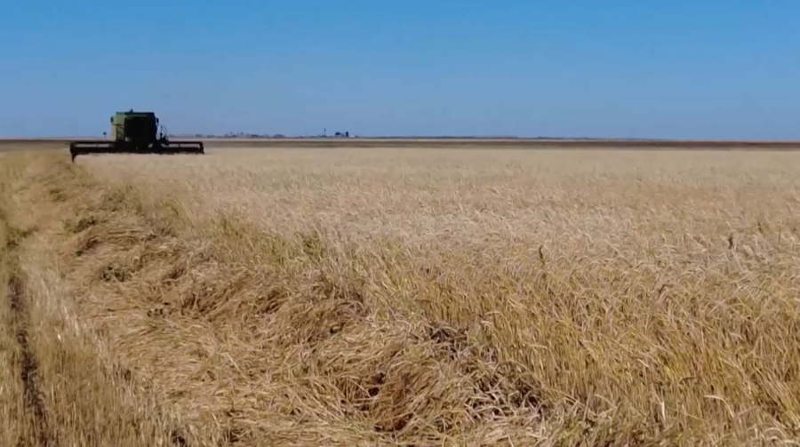 Күзгі жиын-терім қорытындысы