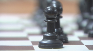 Шахмат: Жансаяның қылығы Бибісараның шамына тиді
