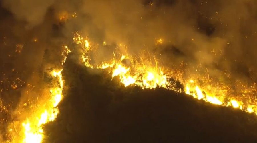 Людей эвакуируют из-за мощных лесных пожаров в Японии