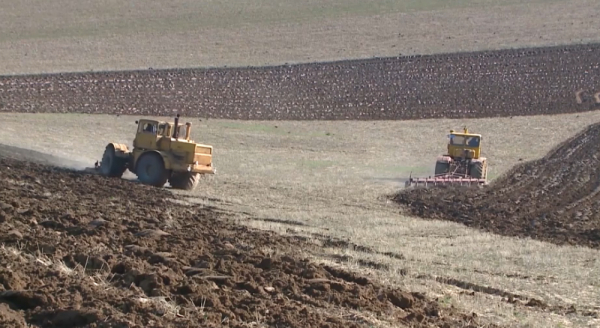 Шымкенттік шаруалар көмек сұрап отыр