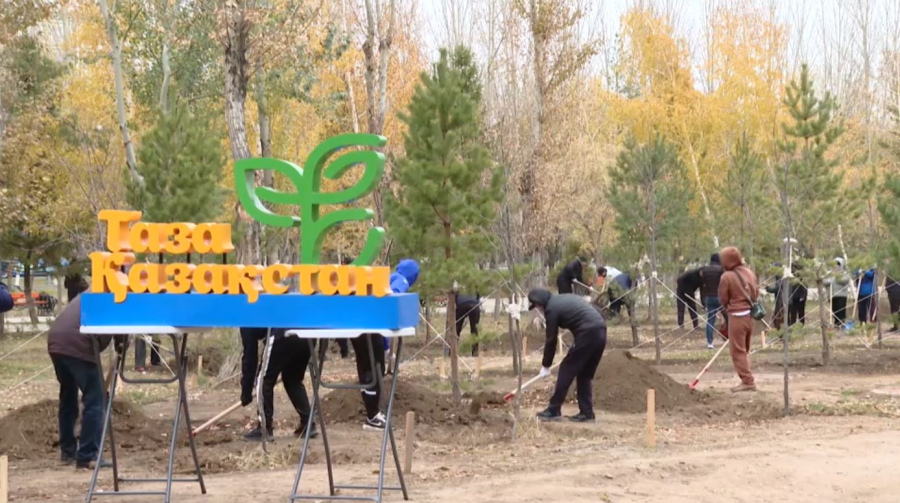 Партия AMANAT вышла на субботник