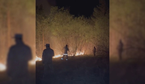 Свыше 200 человек тушат лесной пожар в Абайской области