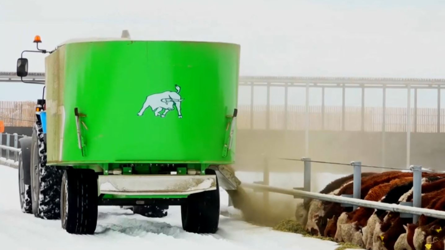 Абай облысында «Қаладан – ауылға» жобасы басталды