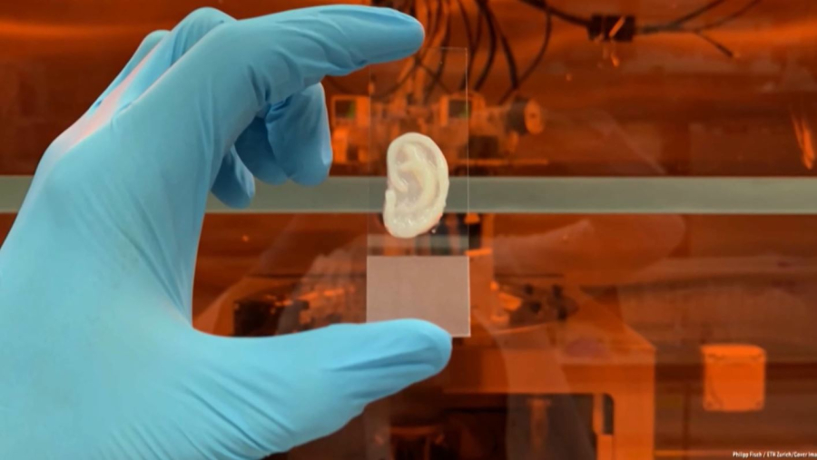 Учёные напечатали ухо на 3D-принтере в Швейцарии