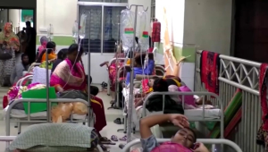 Ежедневно от лихорадки денге умирает 24 человека в Бангладеш