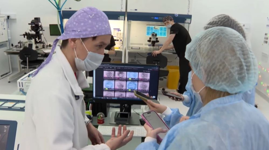 Количество квот на ЭКО увеличили в Костанайской области