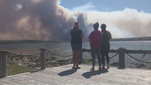 Дым от лесных пожаров в Канаде достиг США