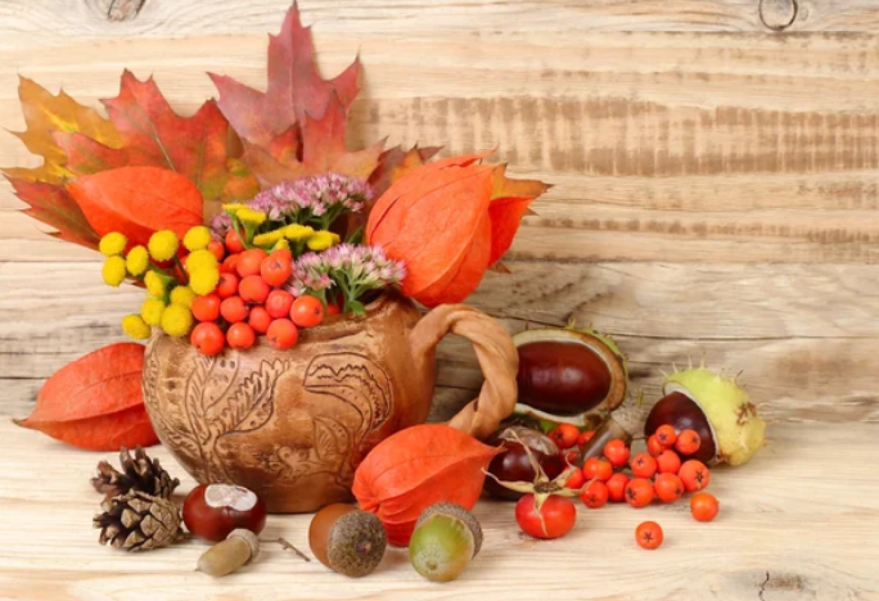 «Таза Қазақстан»: эковыставки «Дары осени» проходят в столичных школах