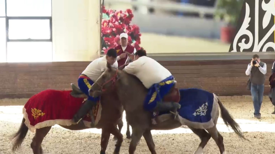 Достижения казахстанских спортсменов в 2025 году