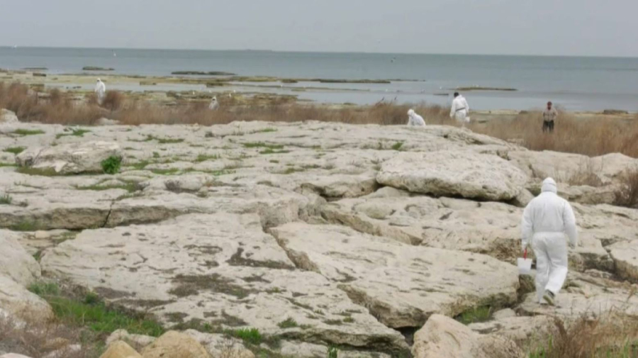 Дератизационные работы начались на набережной Актау