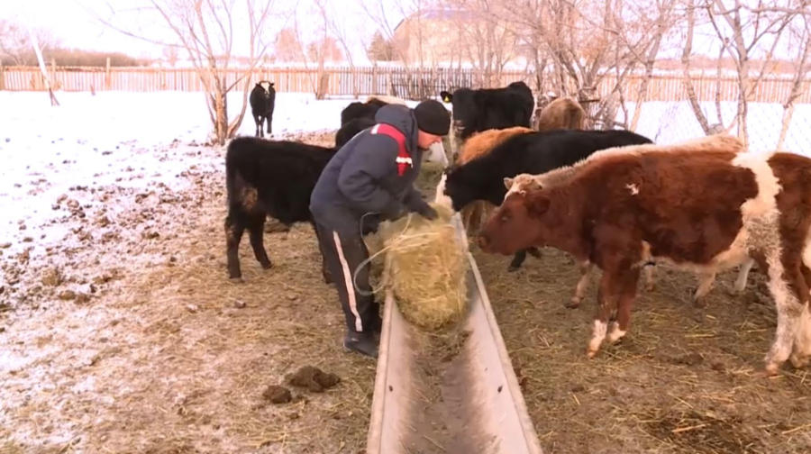 Қостанай облысында кооперативтерді көбейту көзделіп отыр