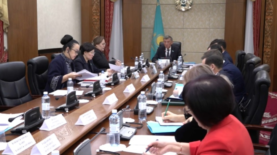 Защиту детей от вредного контента хотят усилить в Казахстане