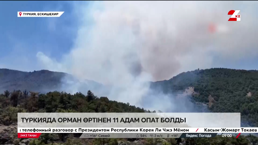 Түркияда орман өртінен 11 адам қаза тапты