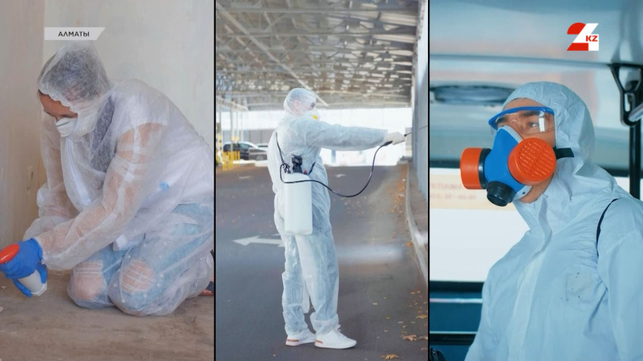 Санитариялық-эпидемиологиялық бақылау қызметі туралы. Әсел Жанәділ